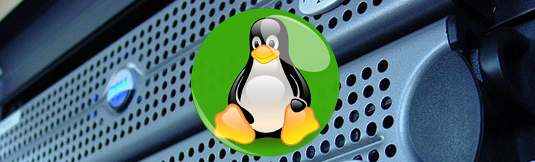 linux server hosting