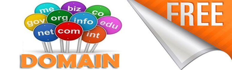 domain names registration